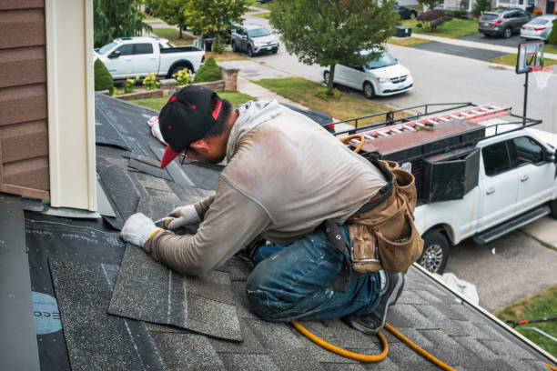 Professional Storm Damage Roof Repair technician working in Sullivan, IL